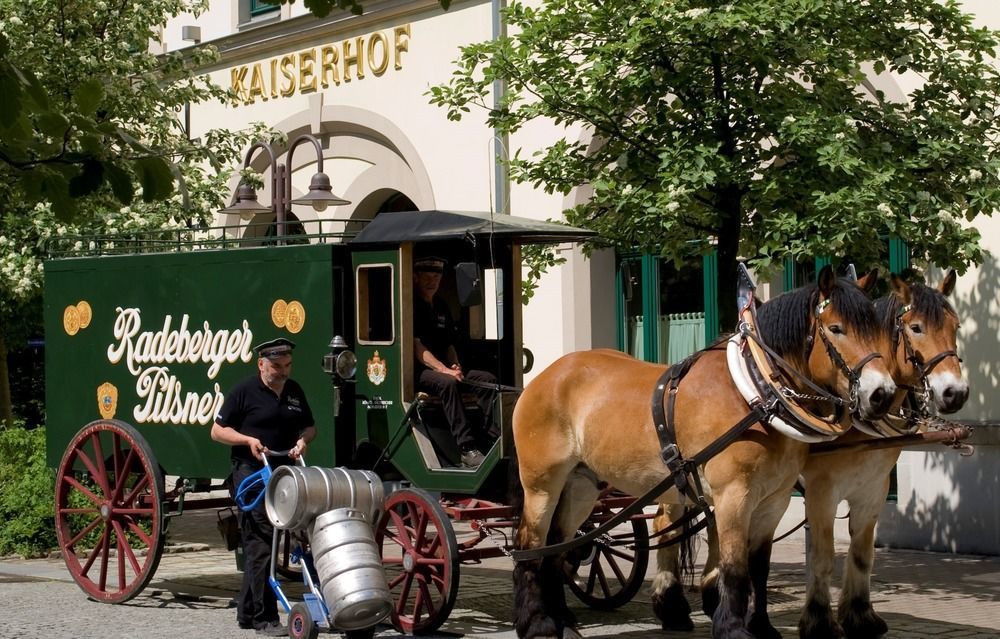 Hotel Kaiserhof Radeberg Extérieur photo